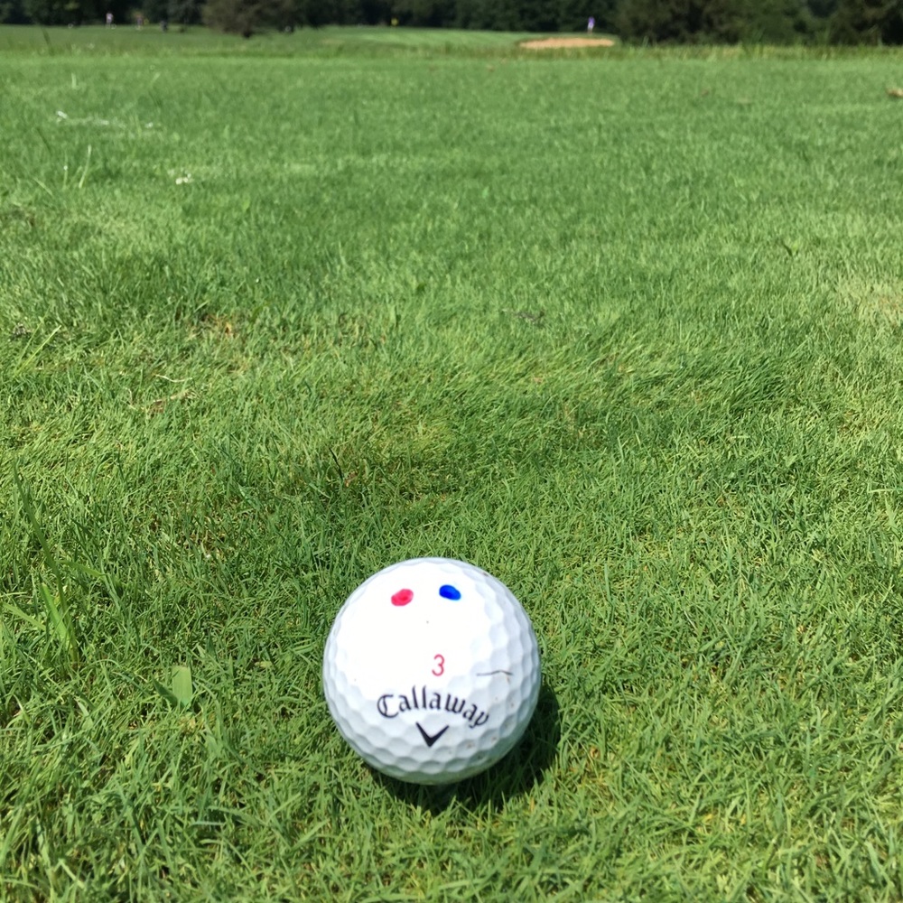 Meet your Posher, Matt